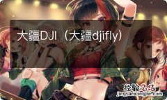 大疆djifly 大疆DJI