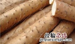 新鲜山药怎么保存 新鲜山药保存方法是什么