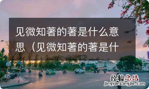 见微知著的著是什么意思在文中指哪些事 见微知著的著是什么意思