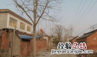 表达在农村生活的说说 怎么写出自己的惬意