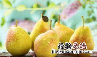 买梨子怎么挑选 买梨子怎么挑选公母