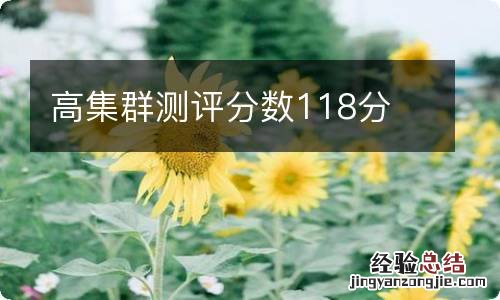 高集群测评分数118分