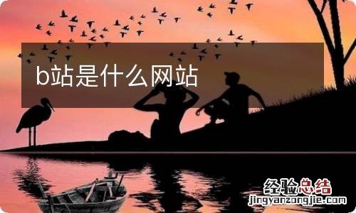 b站是什么网站