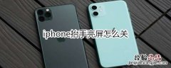 iphone抬手亮屏怎么关