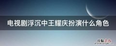 电视剧浮沉中王耀庆扮演什么角色