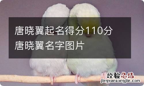 唐晓翼起名得分110分 唐晓翼名字图片