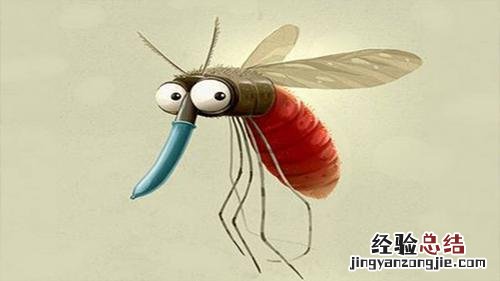 冬天为什么有蚊子