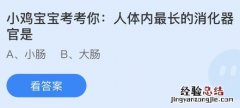 今日蚂蚁庄园小鸡课堂正确答案最新：人体内最长的消化器官是？上海徐家汇因为哪位明代科