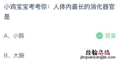 蚂蚁庄园今日答案最新8.18：人体内最长的消化器官是小肠还是大肠