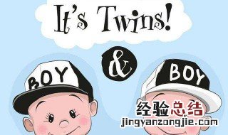 twins是什么意思 怎么理解twins