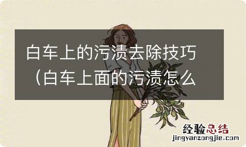 白车上面的污渍怎么去除 白车上的污渍去除技巧