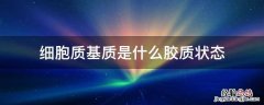 细胞质基质是什么胶质状态