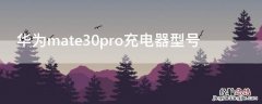 华为mate30pro充电器型号