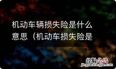 机动车损失险是什么意思 机动车辆损失险是什么意思