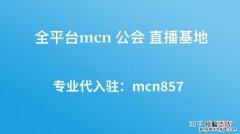 mcn机构是什么意思