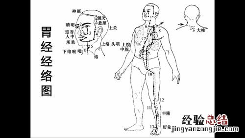 耳唇兰的病虫害防治