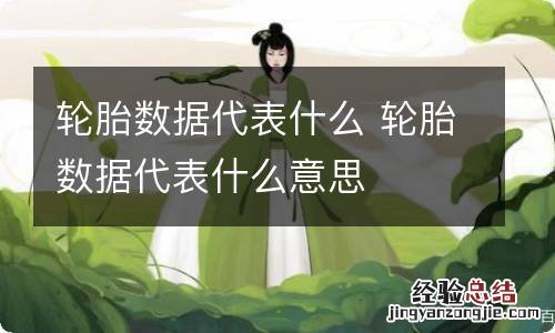 轮胎数据代表什么 轮胎数据代表什么意思