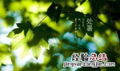 三伏天后是什么节气 三伏天后是什么节气了