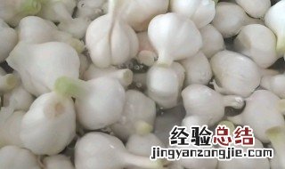 腌的糖蒜发绿是怎么回事儿 腌的糖蒜发绿是怎么回事