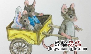 老鼠进家的风水说法 一定要引起注意