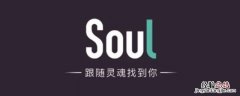 soul被挡访客什么意思