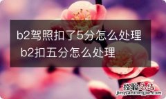 b2驾照扣了5分怎么处理 b2扣五分怎么处理