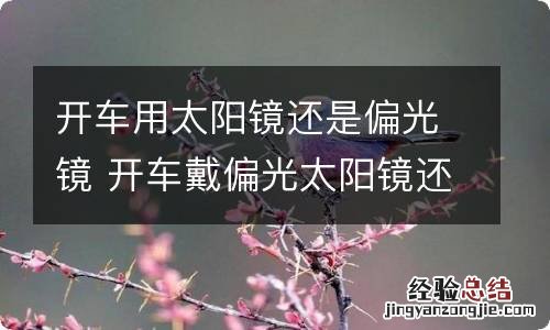 开车用太阳镜还是偏光镜 开车戴偏光太阳镜还是普通太阳镜