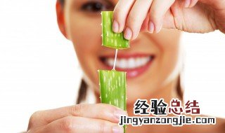 芦荟枯萎了怎么救活 芦荟枯萎了还能救活吗
