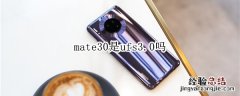 mate30是ufs3.0吗