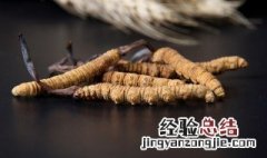 干虫草保存方法图片 干虫草保存方法