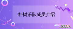 朴树乐队成员介绍