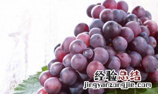 元谋葡萄种植基地 如何种植好元谋葡萄