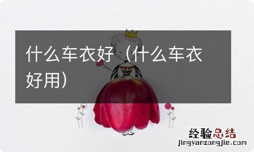 什么车衣好用 什么车衣好