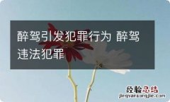 醉驾引发犯罪行为 醉驾违法犯罪