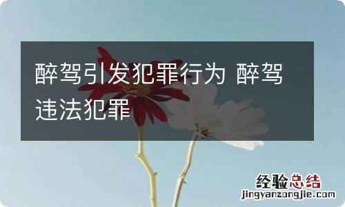 醉驾引发犯罪行为 醉驾违法犯罪