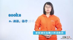 socks是什么意思