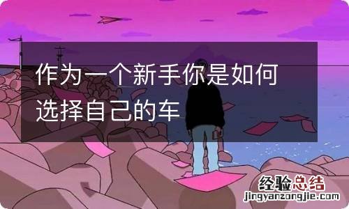 作为一个新手你是如何选择自己的车