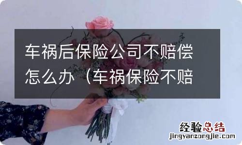 车祸保险不赔付怎么办 车祸后保险公司不赔偿怎么办