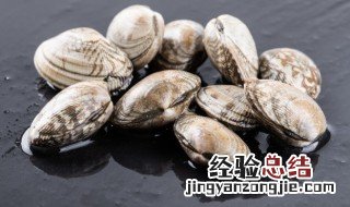 孕妇能吃花蛤吗 孕妇可以吃花蛤吗