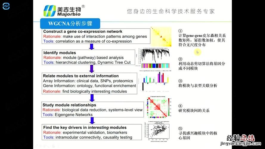 什么是转录组分析