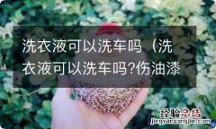 洗衣液可以洗车吗?伤油漆吗? 洗衣液可以洗车吗