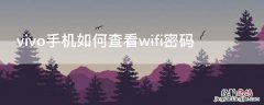 vivo手机如何查看wifi密码 vivo手机如何查看wifi密码查看