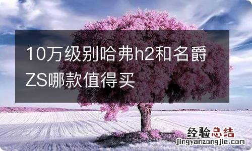 10万级别哈弗h2和名爵ZS哪款值得买