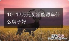 10-17万元买新能源车什么牌子好