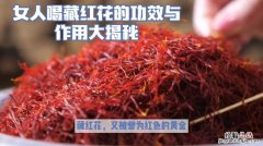 玉树的功效与作用