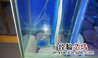 鱼缸溢流区漏水怎么办 鱼缸溢流管漏水怎么办