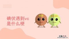 vc是什么意思