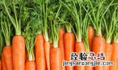 种胡萝卜最新方法 种胡萝卜的方法