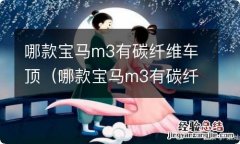 哪款宝马m3有碳纤维车顶行李箱 哪款宝马m3有碳纤维车顶