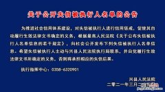 网上怎么查法院公告